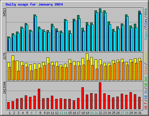 Daily usage for January 2024
