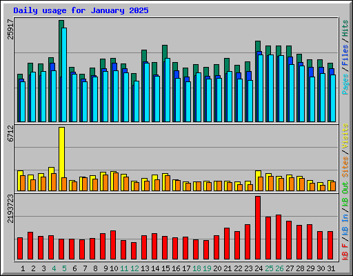 Daily usage for January 2025