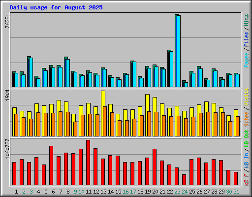 Daily usage for August 2025