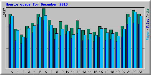 Hourly usage for December 2018