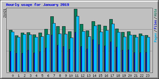 Hourly usage for January 2019