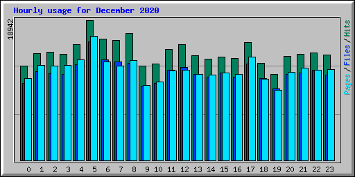 Hourly usage for December 2020