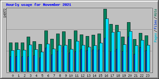 Hourly usage for November 2021