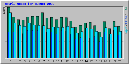 Hourly usage for August 2022