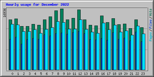 Hourly usage for December 2022