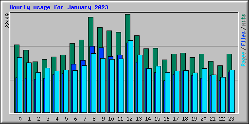 Hourly usage for January 2023