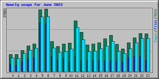 Hourly usage for June 2023
