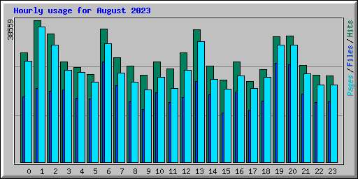 Hourly usage for August 2023