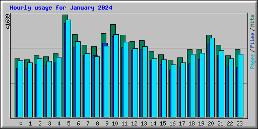 Hourly usage for January 2024