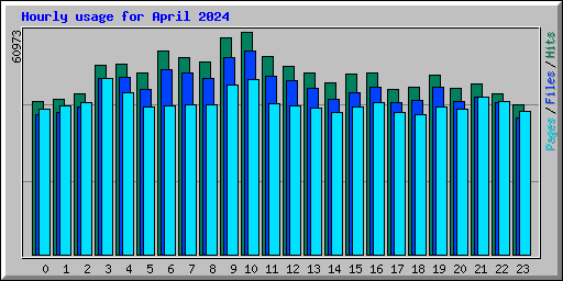 Hourly usage for April 2024