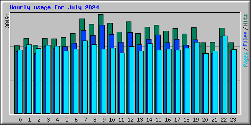 Hourly usage for July 2024