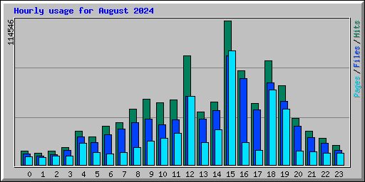 Hourly usage for August 2024