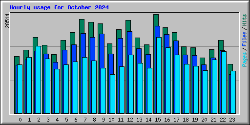 Hourly usage for October 2024