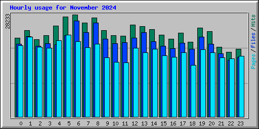 Hourly usage for November 2024