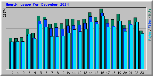 Hourly usage for December 2024