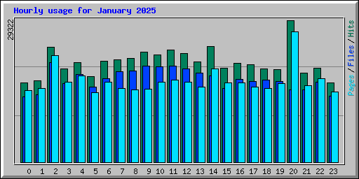 Hourly usage for January 2025
