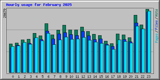 Hourly usage for February 2025