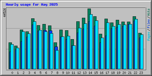 Hourly usage for May 2025