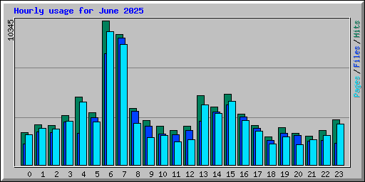 Hourly usage for June 2025