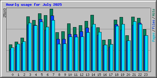 Hourly usage for July 2025