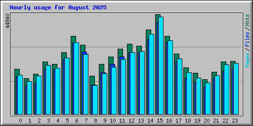 Hourly usage for August 2025