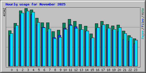 Hourly usage for November 2025