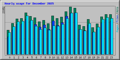 Hourly usage for December 2025