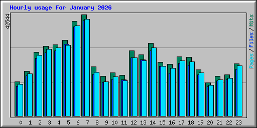 Hourly usage for January 2026