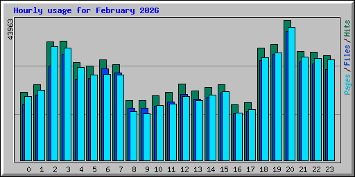 Hourly usage for February 2026