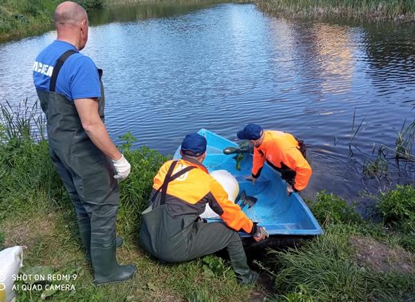 Спасатели очистили участок реки Тускарь