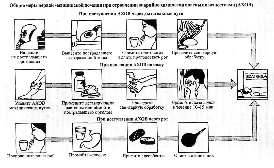 Виды санобработки схема