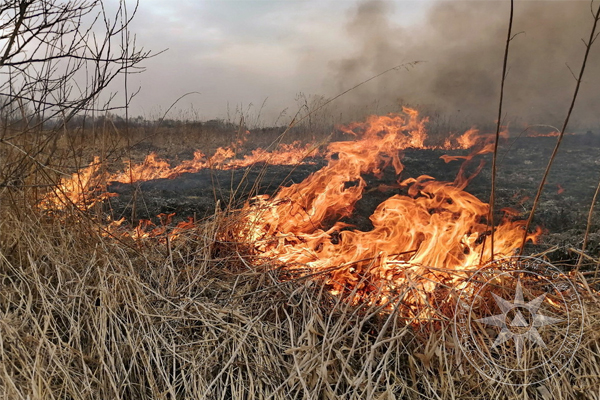 В Курске растет количество возгораний сухой травы