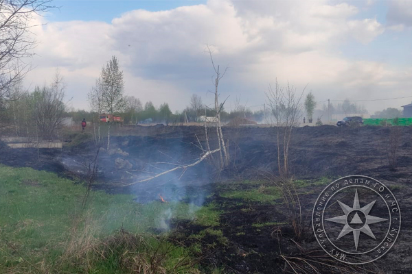 В Курске продолжает гореть трава