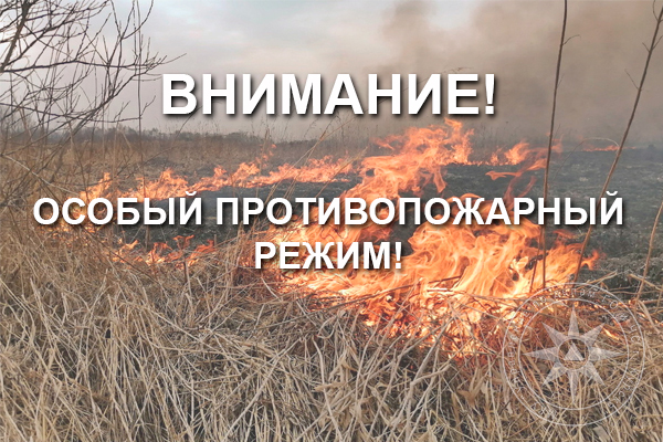 В Курске продолжает действовать особый противопожарный режим!