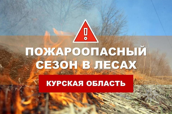В лесах Курской области начался пожароопасный сезон