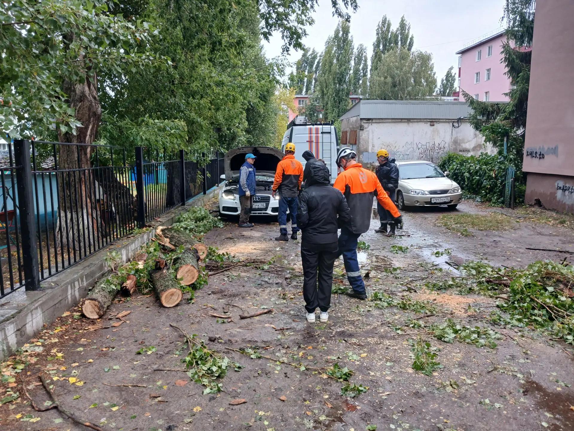Спасатели управления ГО и ЧС Курска ежедневно занимаются сносом и обрезкой аварийных деревьев